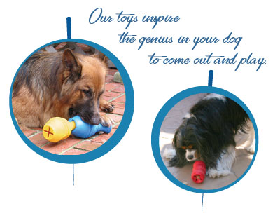 Canine Genius The orignial smart toy for dogs