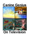Canine Genius: news